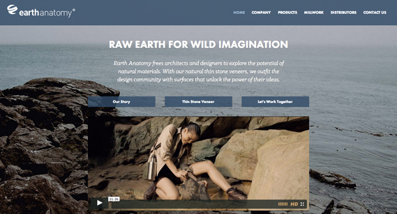 EA-web